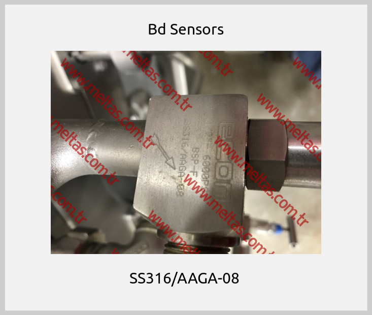 Bd Sensors-SS316/AAGA-08 