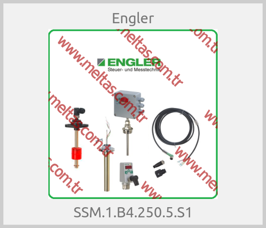 Engler - SSM.1.B4.250.5.S1