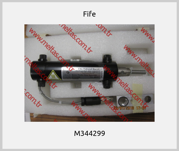 Fife - M344299
