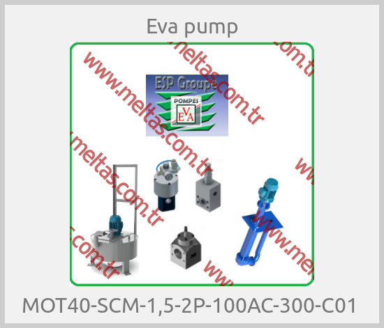 Eva pump - MOT40-SCM-1,5-2P-100AC-300-C01 