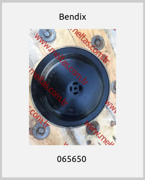Bendix-065650 