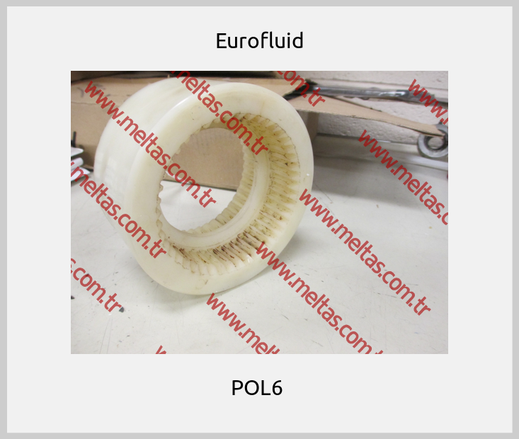 Eurofluid - POL6 