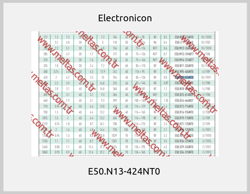 Electronicon - E50.N13-424NT0 