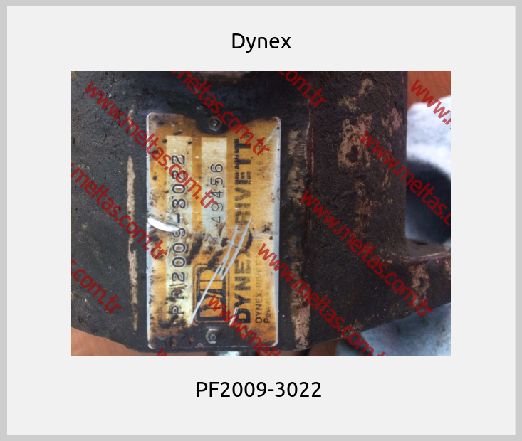 Dynex - PF2009-3022 