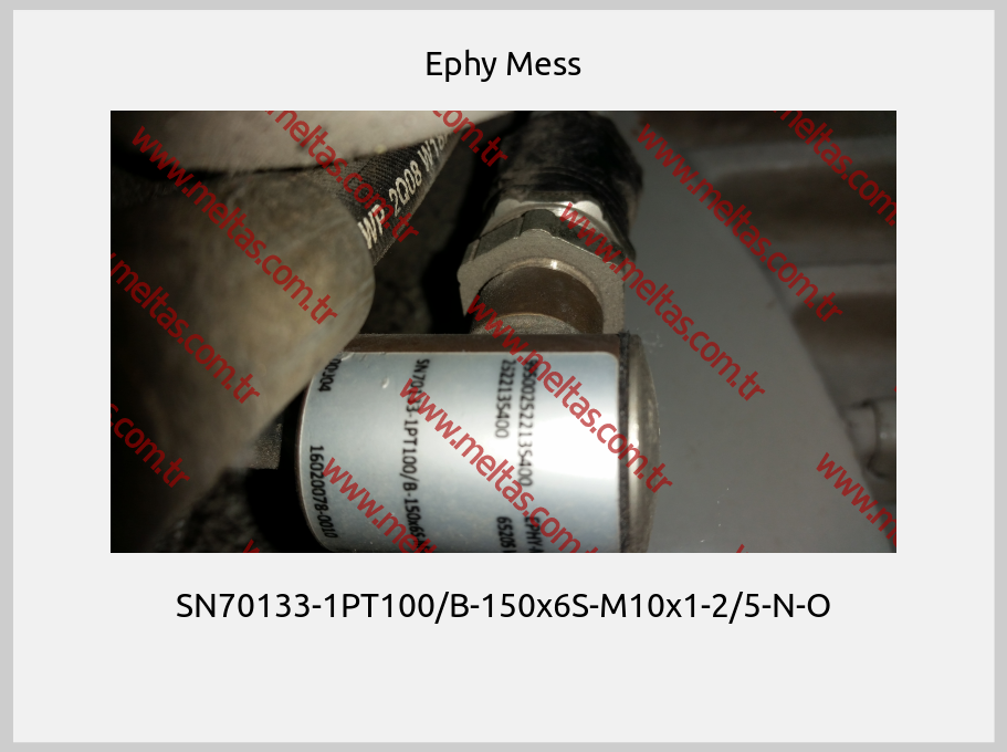 Ephy Mess - SN70133-1PT100/B-150x6S-M10x1-2/5-N-O 