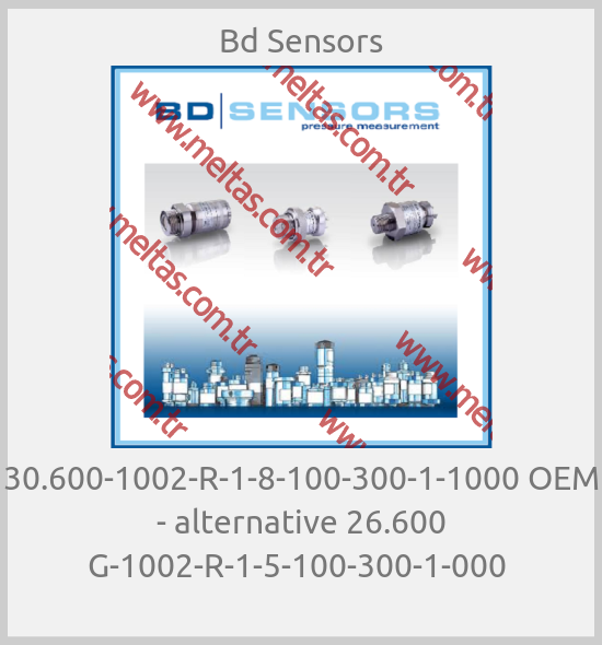 Bd Sensors - 30.600-1002-R-1-8-100-300-1-1000 OEM - alternative 26.600 G-1002-R-1-5-100-300-1-000 
