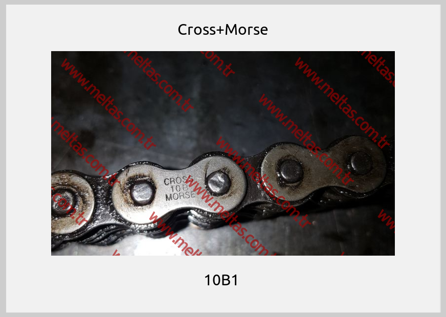 Cross+Morse - 10B1 