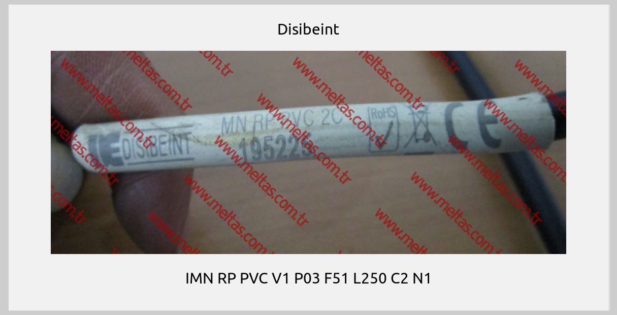 Disibeint-IMN RP PVC V1 P03 F51 L250 C2 N1