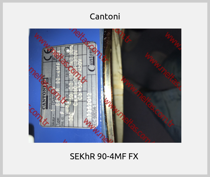 Cantoni - SEKhR 90-4MF FX 