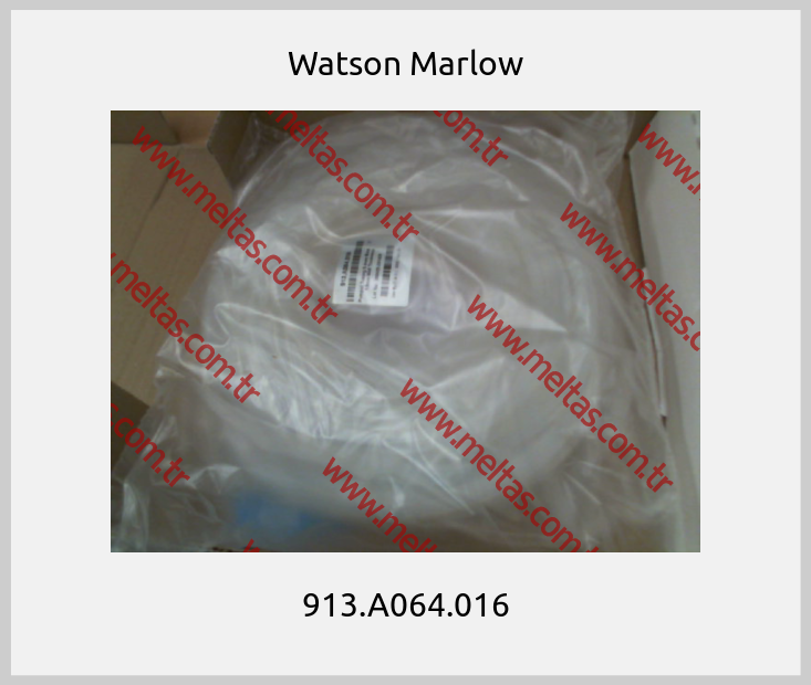 Watson Marlow - 913.A064.016