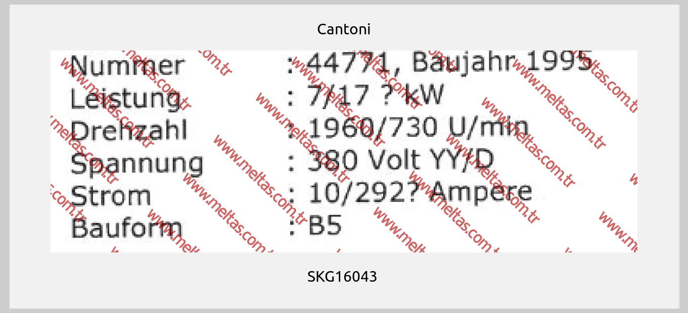 Cantoni - SKG16043 