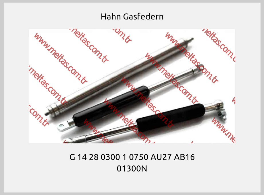 Hahn Gasfedern - G 14 28 0300 1 0750 AU27 AB16 01300N
