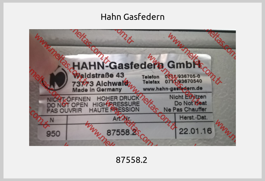 Hahn Gasfedern - 87558.2 