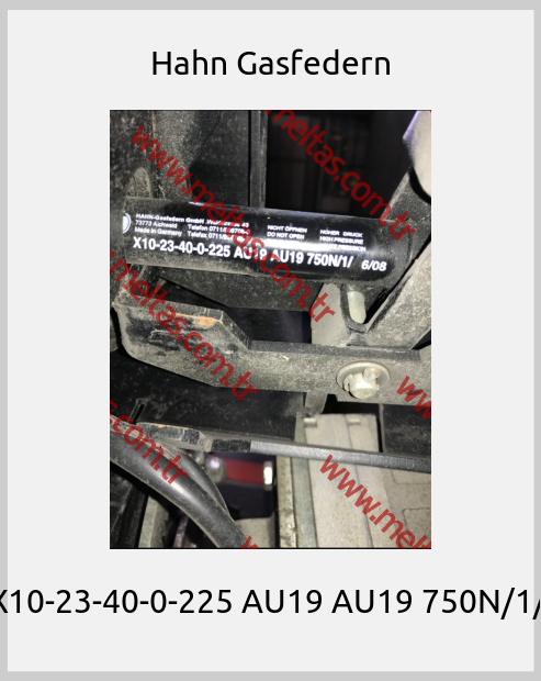 Hahn Gasfedern - X10-23-40-0-225 AU19 AU19 750N/1/ 