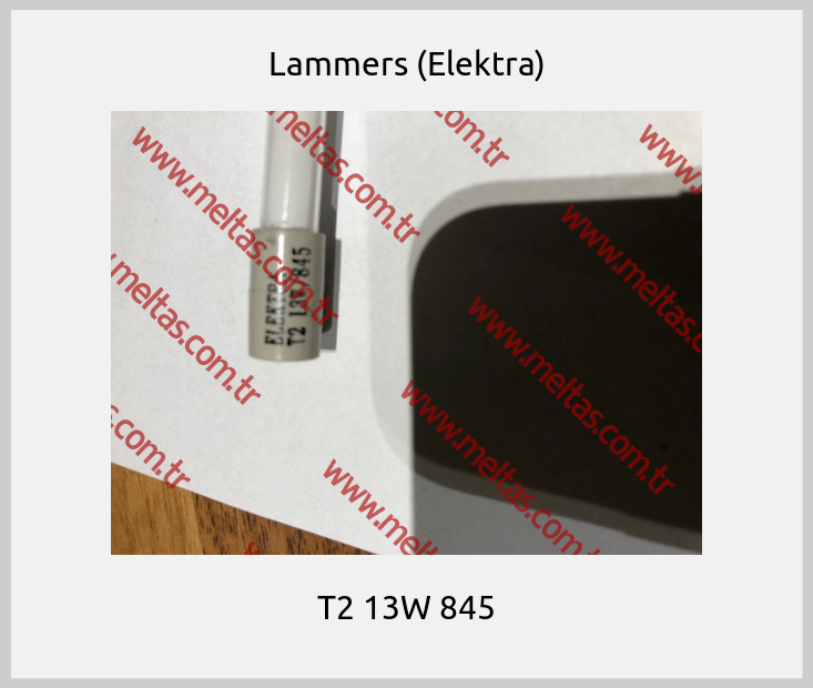 Lammers (Elektra)-T2 13W 845