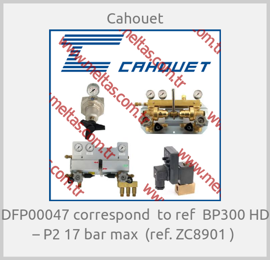 Cahouet - DFP00047 correspond  to ref  BP300 HD – P2 17 bar max  (ref. ZC8901 ) 