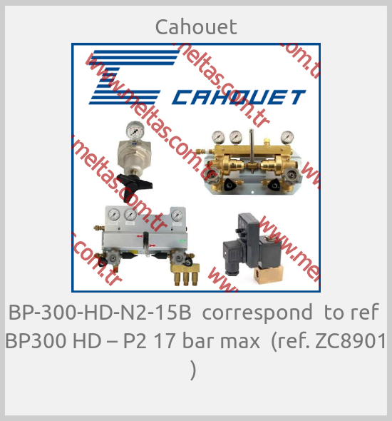 Cahouet - BP-300-HD-N2-15B  correspond  to ref  BP300 HD – P2 17 bar max  (ref. ZC8901 ) 