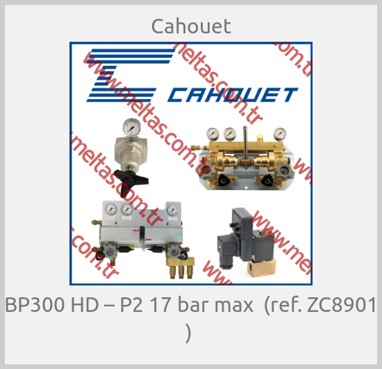 Cahouet- BP300 HD – P2 17 bar max  (ref. ZC8901 ) 