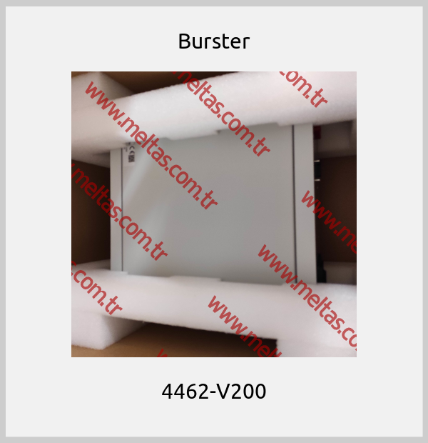 Burster - 4462-V200