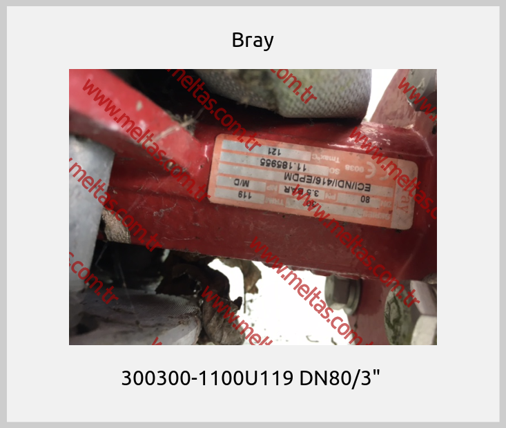 Bray - 300300-1100U119 DN80/3" 