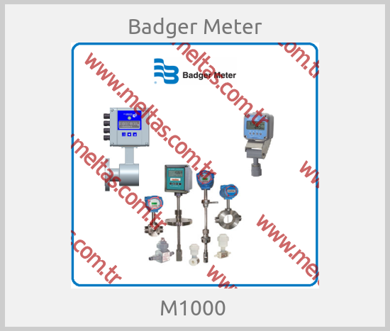 Badger Meter - M1000 