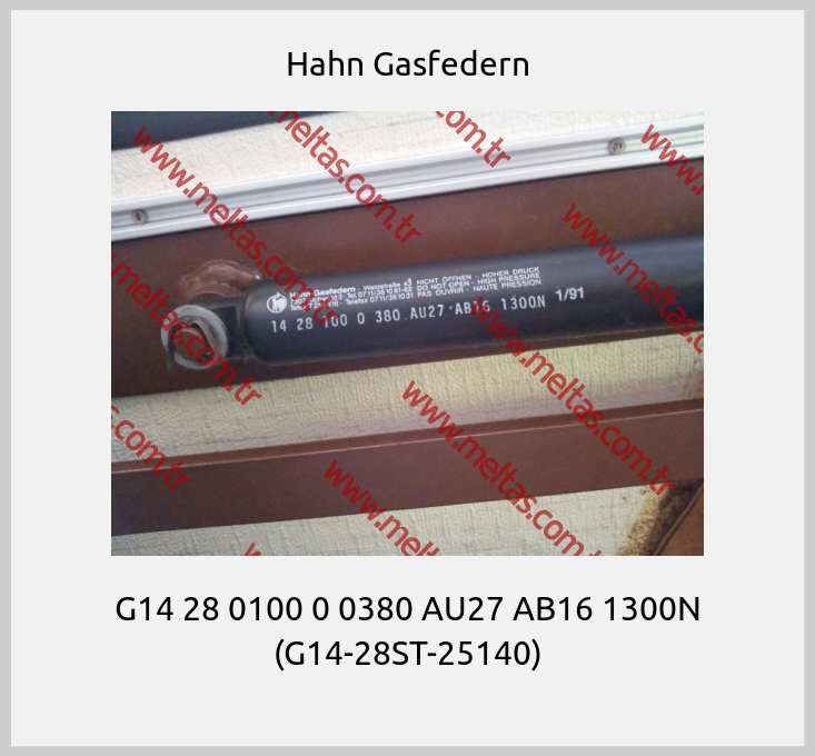 Hahn Gasfedern - G14 28 0100 0 0380 AU27 AB16 1300N (G14-28ST-25140)