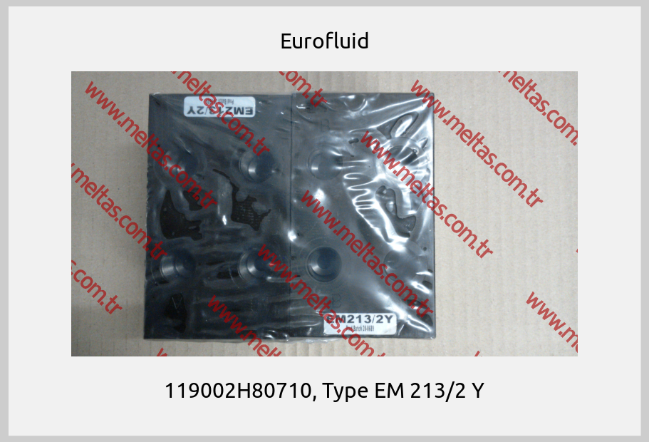 Eurofluid - 119002H80710, Type EM 213/2 Y