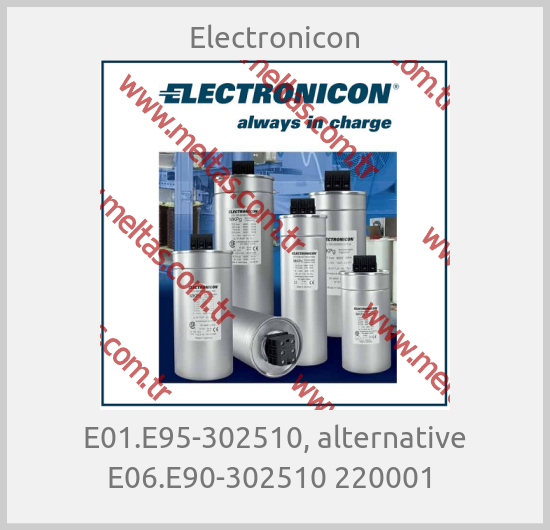 Electronicon-E01.E95-302510, alternative E06.E90-302510 220001 