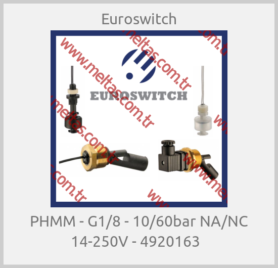 Euroswitch-РНММ - G1/8 - 10/60bar NA/NC 14-250V - 4920163  