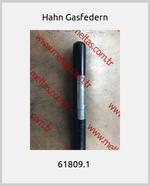Hahn Gasfedern - 61809.1 