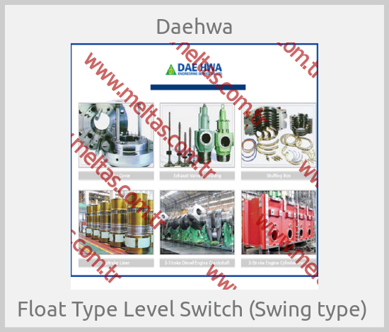 Daehwa-Float Type Level Switch (Swing type) 