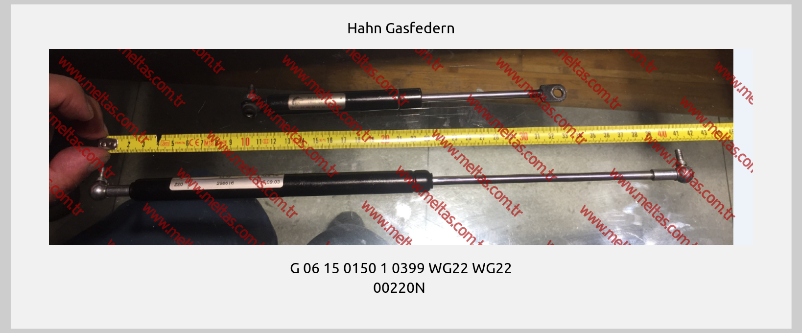 Hahn Gasfedern - G 06 15 0150 1 0399 WG22 WG22 00220N 