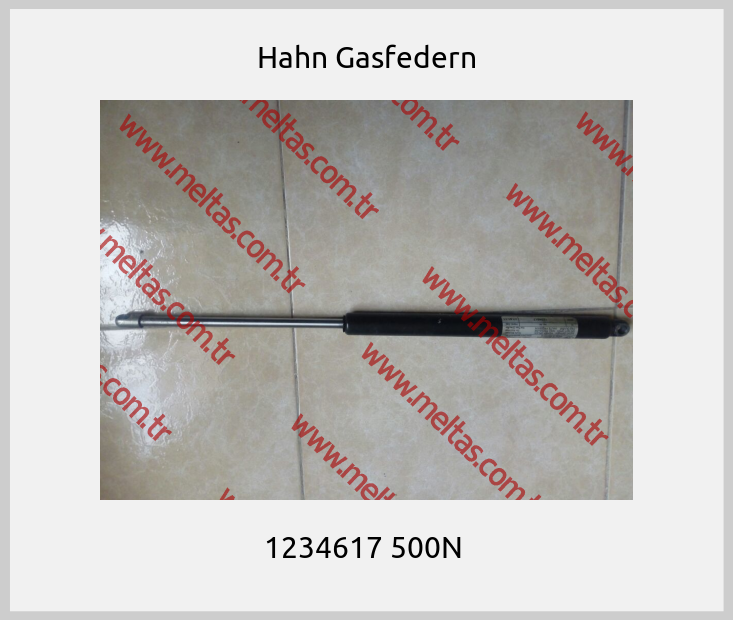 Hahn Gasfedern - 1234617 500N 