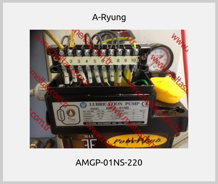 A-Ryung - AMGP-01NS-220
