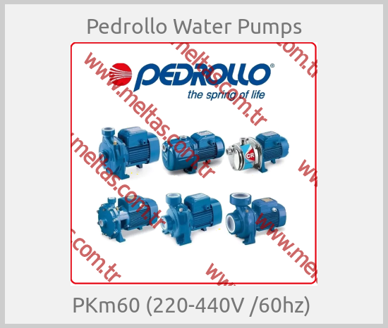 Pedrollo Water Pumps - PKm60 (220-440V /60hz) 
