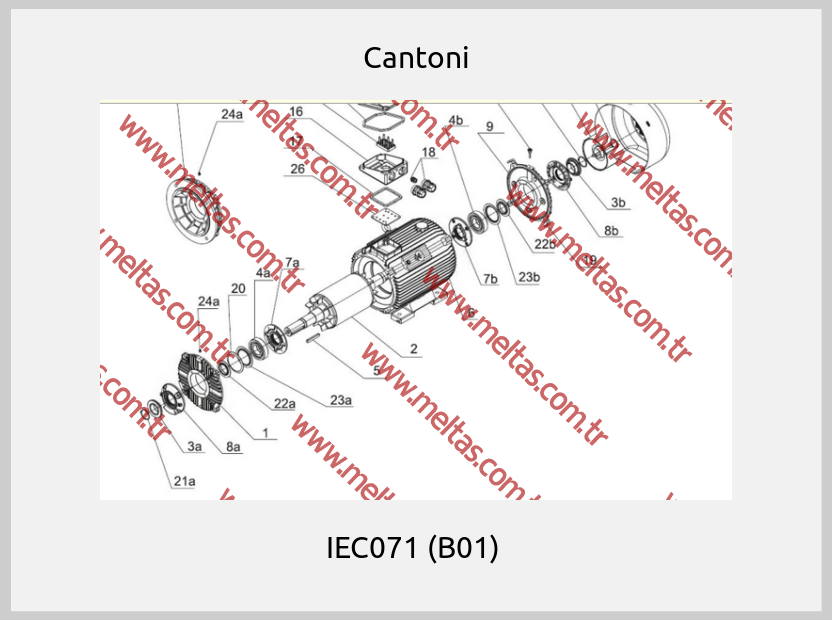 Cantoni - IEC071 (B01) 
