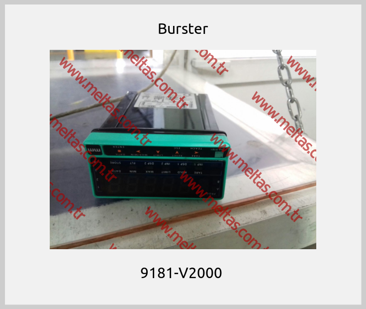 Burster-9181-V2000 