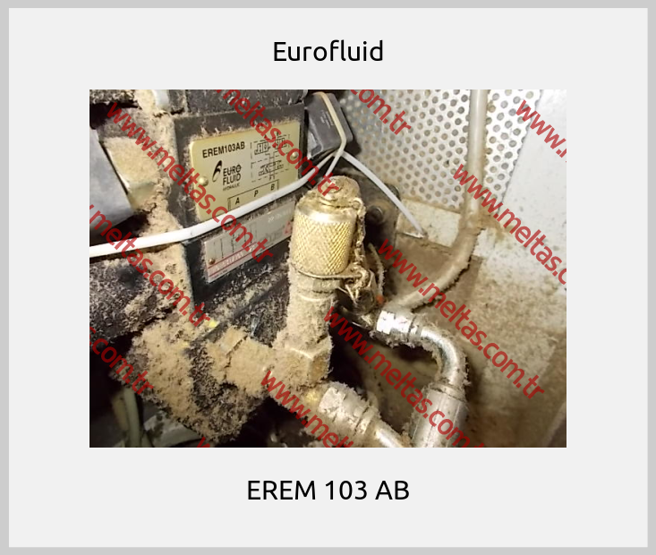 Eurofluid - EREM 103 AB