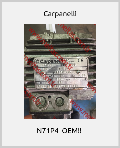Carpanelli-N71P4  OEM!! 