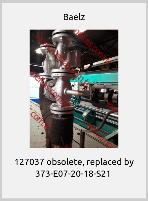 Baelz - 127037 obsolete, replaced by 373-E07-20-18-S21 