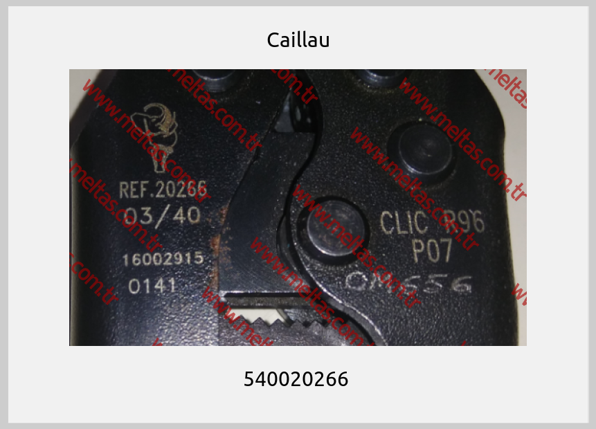 Caillau - 540020266 