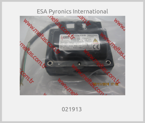 ESA Pyronics International - 021913 
