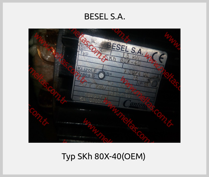 BESEL S.A. - Typ SKh 80X-40(OEM) 