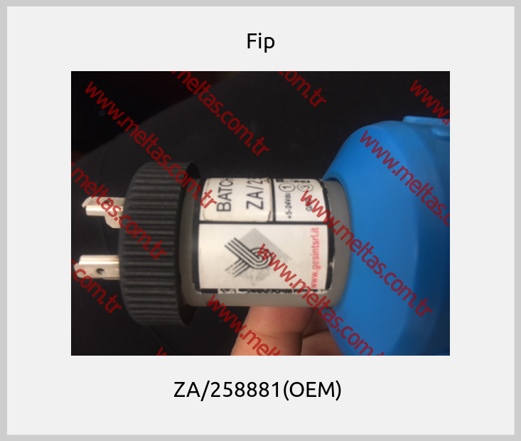 Fip - ZA/258881(OEM) 