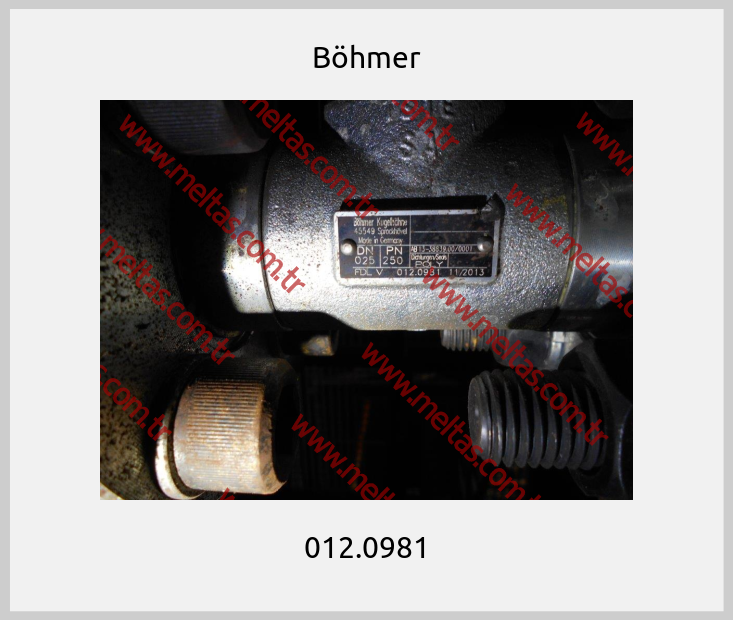 Böhmer-012.0981