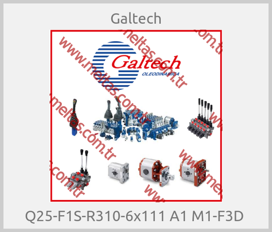 Galtech - Q25-F1S-R310-6x111 A1 M1-F3D 