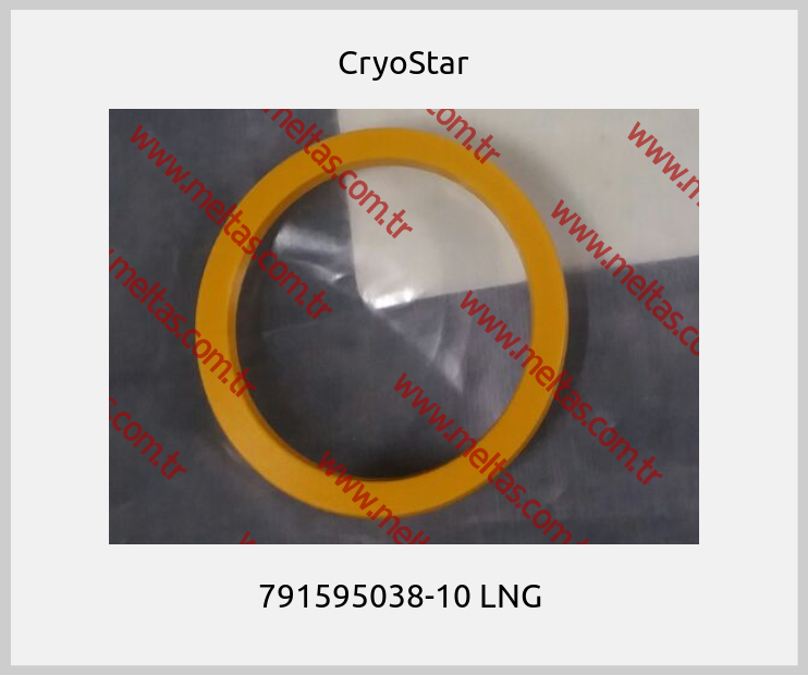 CryoStar - 791595038-10 LNG 