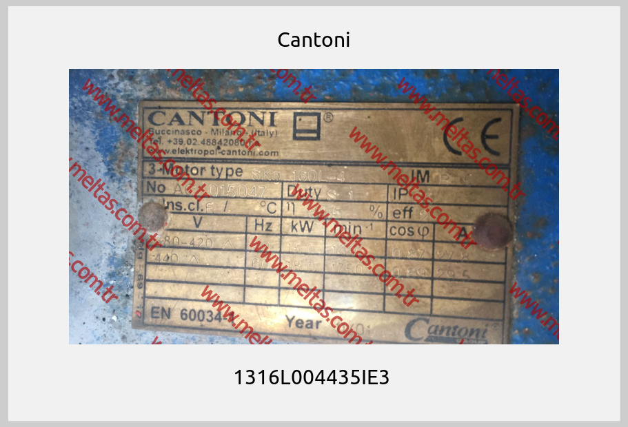 Cantoni - 1316L004435IE3 