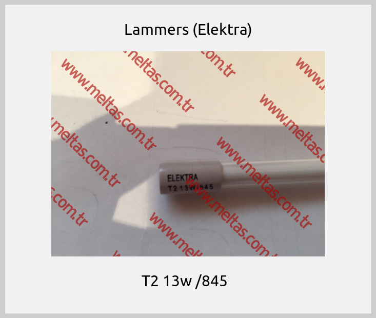 Lammers (Elektra) -  T2 13w /845  