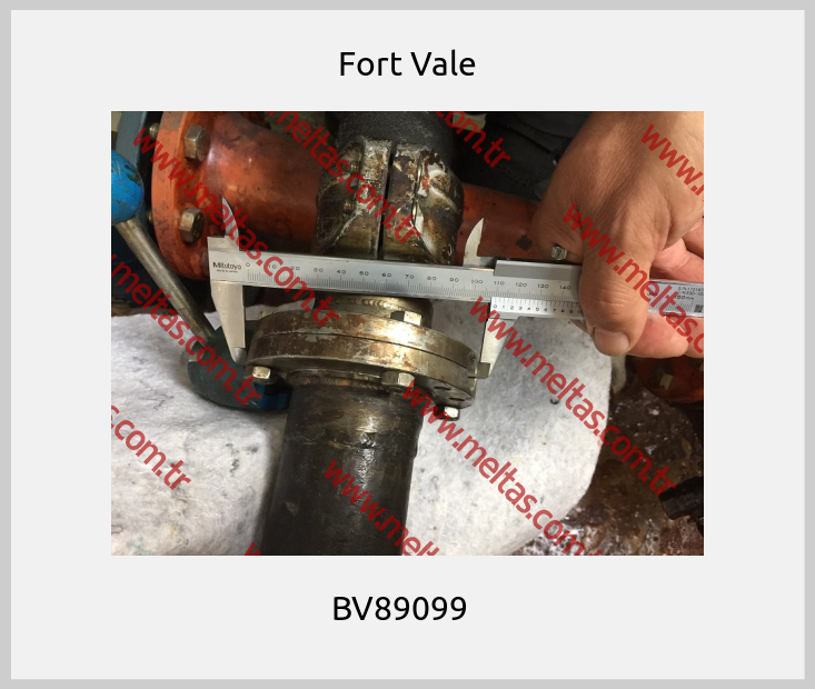 Fort Vale - BV89099  